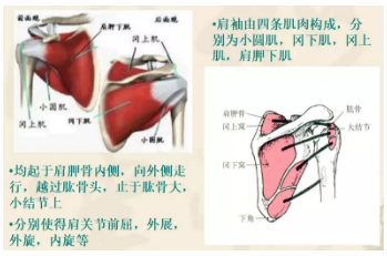 微信截图_20190507133831.png