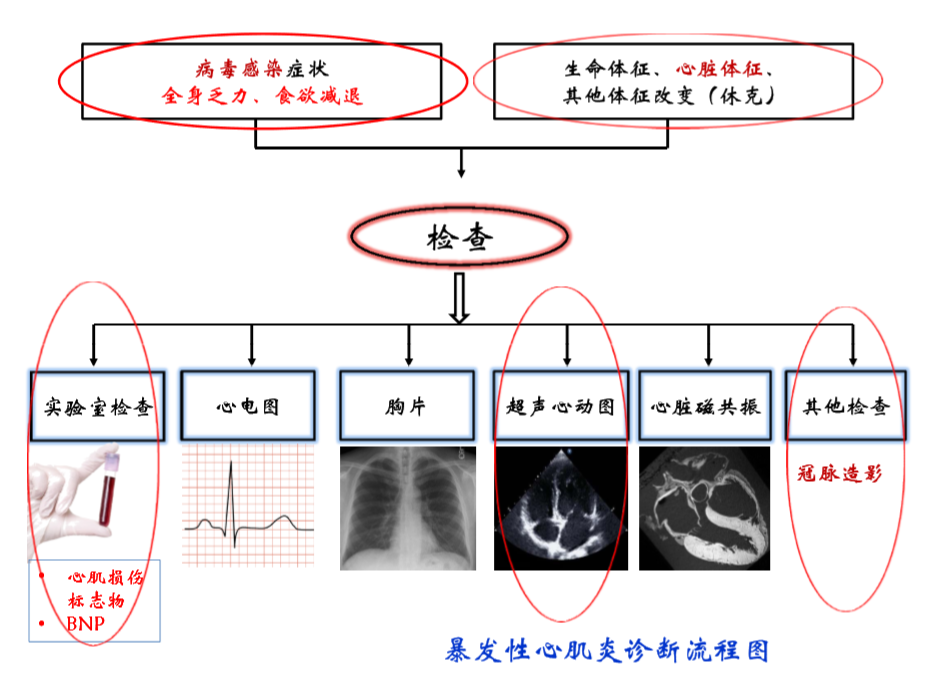 诊断流程图.png