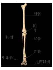 微信截图_20190603114504.png