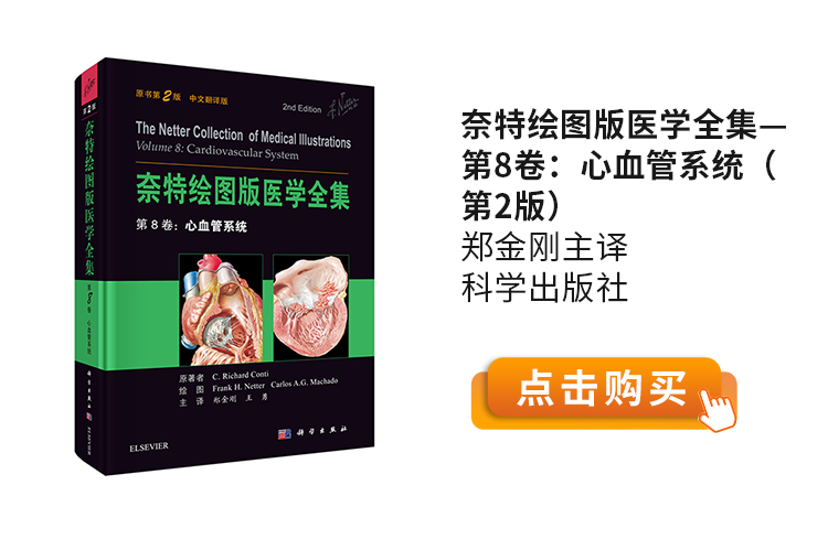 奈特绘图版医学全集—第8卷：心血管系统（第2版）郑金刚主译-科学出版社.jpg