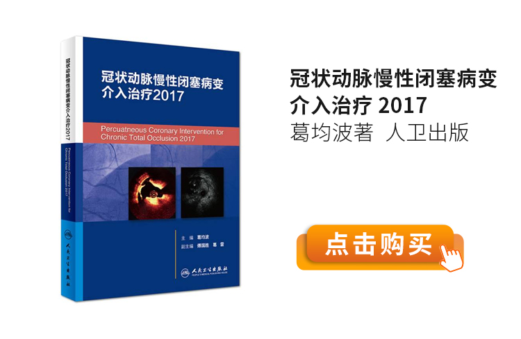 冠状动脉慢性闭塞病变介入治疗2017葛均波著人卫出版.jpg