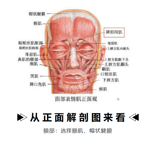 线逆向提升在线雕提升术的应用体会