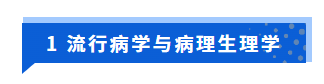 7049229499164999.png