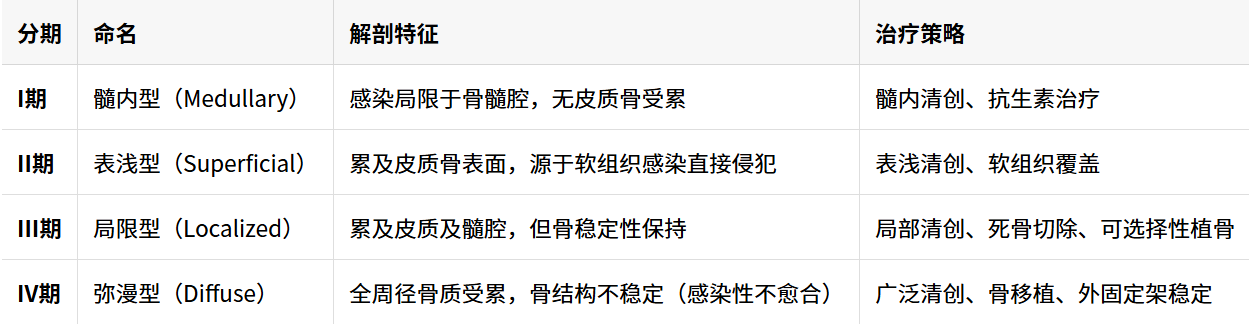 骨感染分型体系全景解析：从经典Cierny-Mader到2024