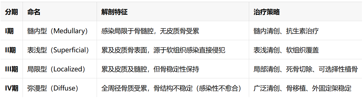 骨感染分型体系全景解析：从经典Cierny-Mader到2024